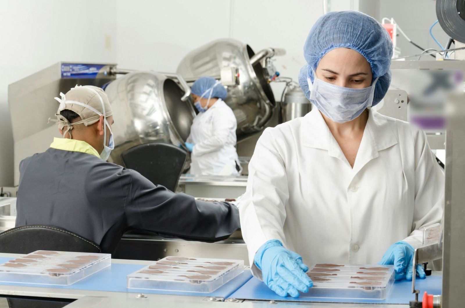 Audit & inspection